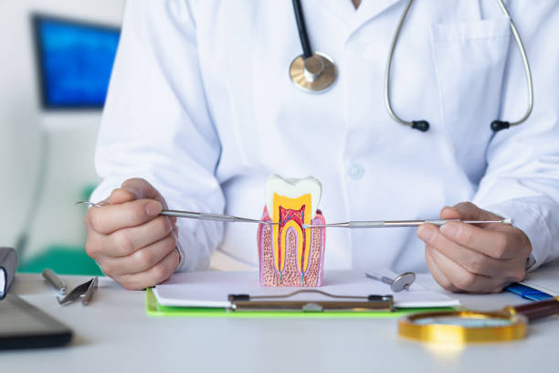 Best Pediatric Emergency Dentist in Bedford, VA